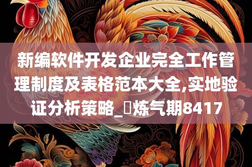 新编软件开发企业完全工作管理制度及表格范本大全,实地验证分析策略_‌炼气期8417