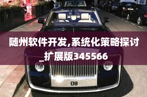 随州软件开发,系统化策略探讨_扩展版345566