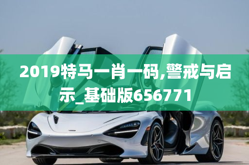 2019特马一肖一码,警戒与启示_基础版656771