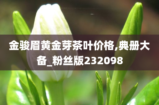 金骏眉黄金芽茶叶价格,典册大备_粉丝版232098