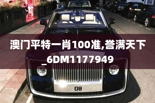 澳门平特一肖100准,誉满天下_6DM1177949