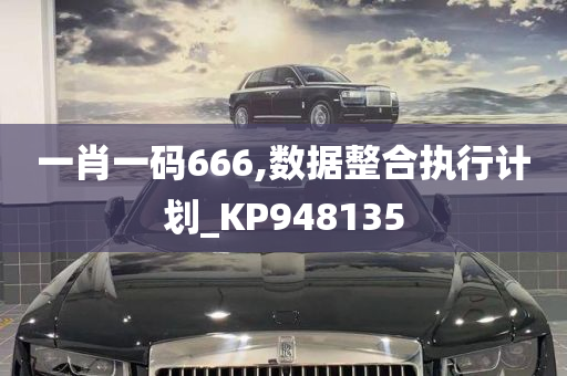 一肖一码666,数据整合执行计划_KP948135