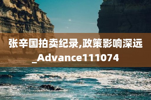 张辛国拍卖纪录,政策影响深远_Advance111074