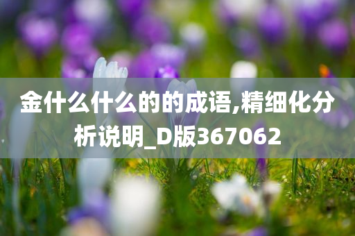 金什么什么的的成语,精细化分析说明_D版367062