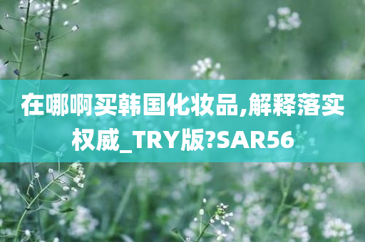 在哪啊买韩国化妆品,解释落实权威_TRY版?SAR56