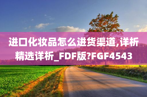 进口化妆品怎么进货渠道,详析精选详析_FDF版?FGF4543