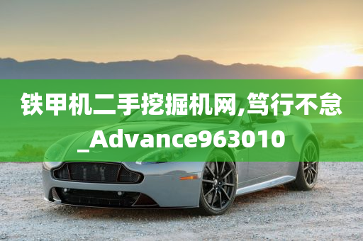 铁甲机二手挖掘机网,笃行不怠_Advance963010