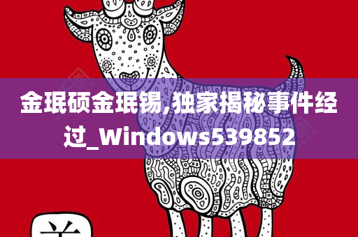 金珉硕金珉锡,独家揭秘事件经过_Windows539852