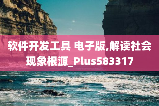 软件开发工具 电子版,解读社会现象根源_Plus583317