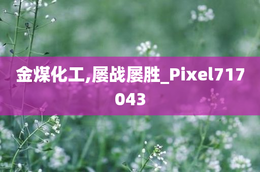 金煤化工,屡战屡胜_Pixel717043