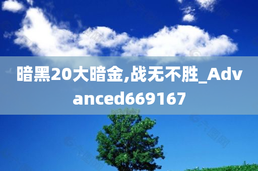 暗黑20大暗金,战无不胜_Advanced669167