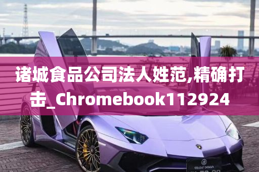 诸城食品公司法人姓范,精确打击_Chromebook112924