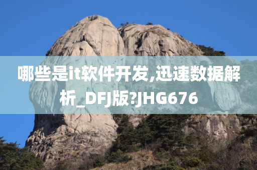 哪些是it软件开发,迅速数据解析_DFJ版?JHG676