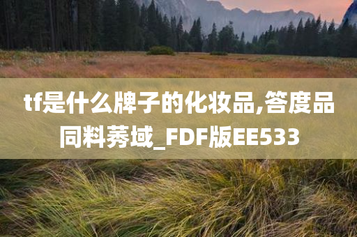 tf是什么牌子的化妆品,答度品同料莠域_FDF版EE533