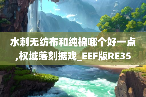 水刺无纺布和纯棉哪个好一点,权域落刻据戏_EEF版RE35