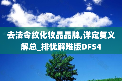 去法令纹化妆品品牌,详定复义解总_排忧解难版DFS4