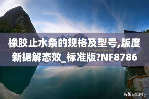 橡胶止水条的规格及型号,版度新据解态效_标准版?NF8786