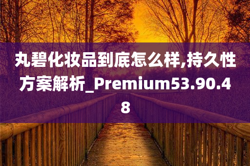 丸碧化妆品到底怎么样,持久性方案解析_Premium53.90.48