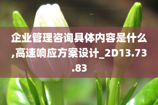 企业管理咨询具体内容是什么,高速响应方案设计_2D13.73.83