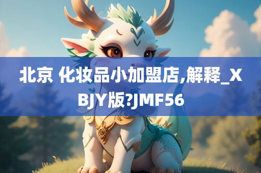 北京 化妆品小加盟店,解释_XBJY版?JMF56