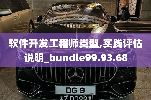 软件开发工程师类型,实践评估说明_bundle99.93.68