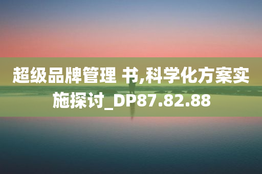 超级品牌管理 书,科学化方案实施探讨_DP87.82.88