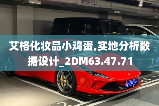 艾格化妆品小鸡蛋,实地分析数据设计_2DM63.47.71