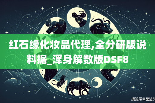 红石缘化妆品代理,全分研版说料据_浑身解数版DSF8