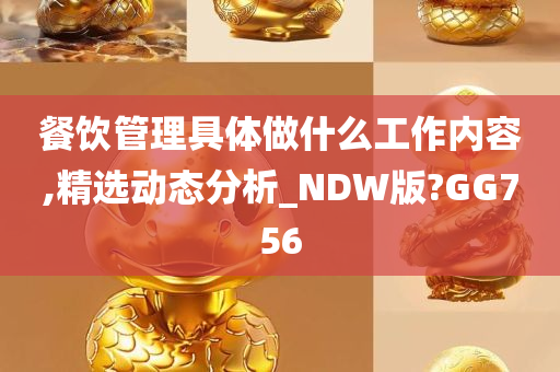 餐饮管理具体做什么工作内容,精选动态分析_NDW版?GG756