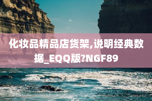 化妆品精品店货架,说明经典数据_EQQ版?NGF89