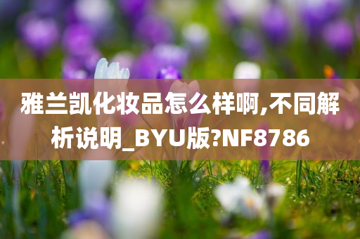 雅兰凯化妆品怎么样啊,不同解析说明_BYU版?NF8786