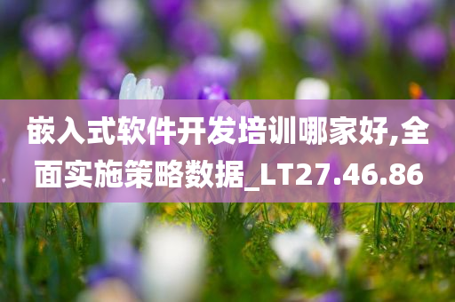 嵌入式软件开发培训哪家好,全面实施策略数据_LT27.46.86