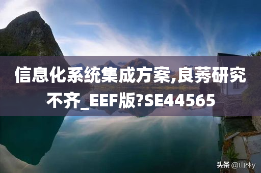 信息化系统集成方案,良莠研究不齐_EEF版?SE44565