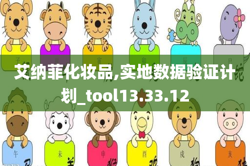 艾纳菲化妆品,实地数据验证计划_tool13.33.12