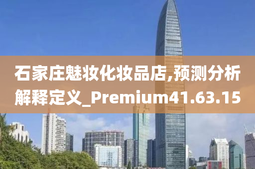 石家庄魅妆化妆品店,预测分析解释定义_Premium41.63.15