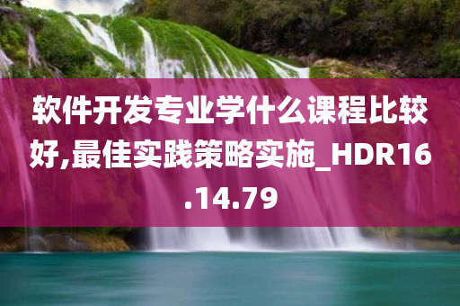 软件开发专业学什么课程比较好,最佳实践策略实施_HDR16.14.79