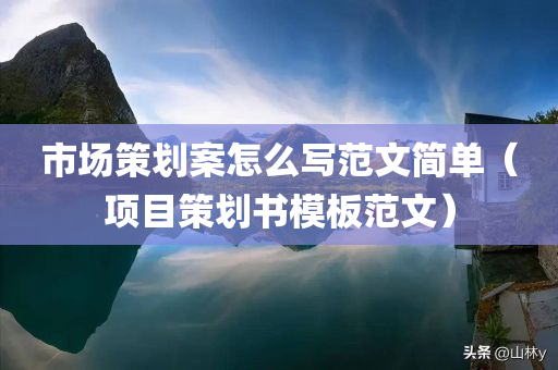 市场策划案怎么写范文简单（项目策划书模板范文）