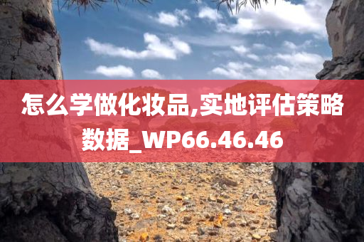 怎么学做化妆品,实地评估策略数据_WP66.46.46