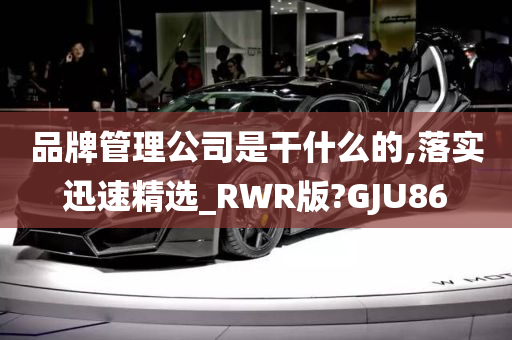 品牌管理公司是干什么的,落实迅速精选_RWR版?GJU86