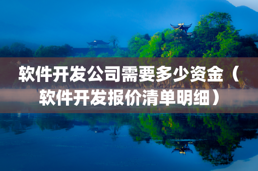 软件开发公司需要多少资金（软件开发报价清单明细）