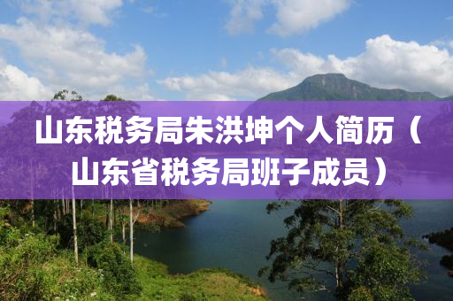 山东税务局朱洪坤个人简历（山东省税务局班子成员）