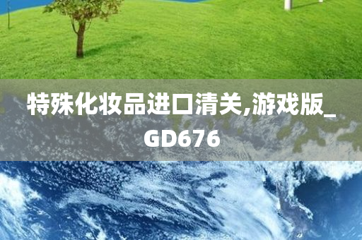 特殊化妆品进口清关,游戏版_GD676