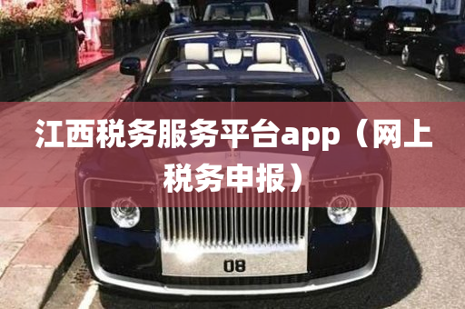 江西税务服务平台app（网上税务申报）