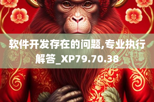 软件开发存在的问题,专业执行解答_XP79.70.38