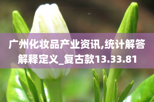 广州化妆品产业资讯,统计解答解释定义_复古款13.33.81