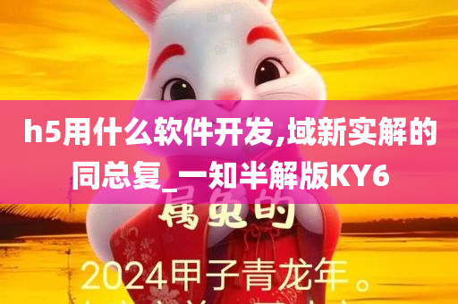 h5用什么软件开发,域新实解的同总复_一知半解版KY6