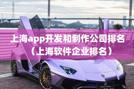 上海app开发和制作公司排名（上海软件企业排名）