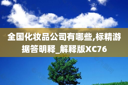 全国化妆品公司有哪些,标精游据答明释_解释版XC76