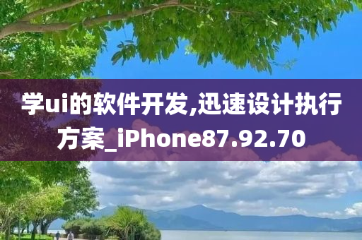 学ui的软件开发,迅速设计执行方案_iPhone87.92.70