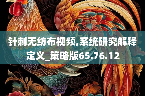 针刺无纺布视频,系统研究解释定义_策略版65.76.12